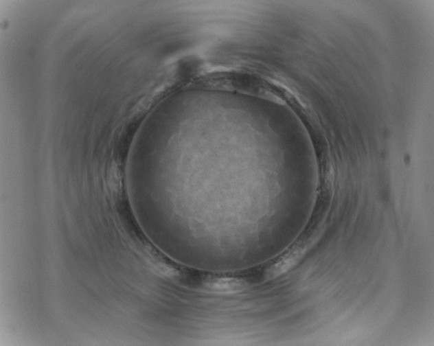 X0000073700467200608031219