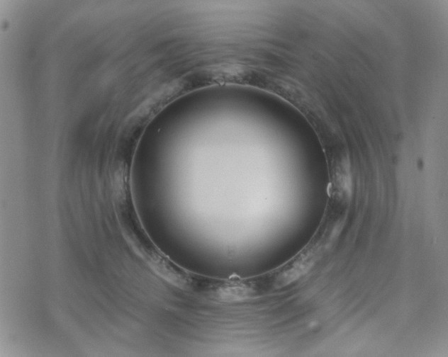 X0000073700468200608031219