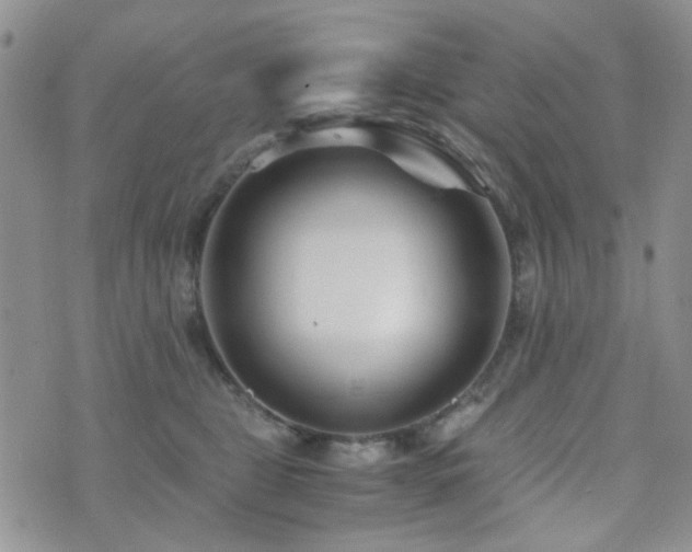 X0000073700469200608031219