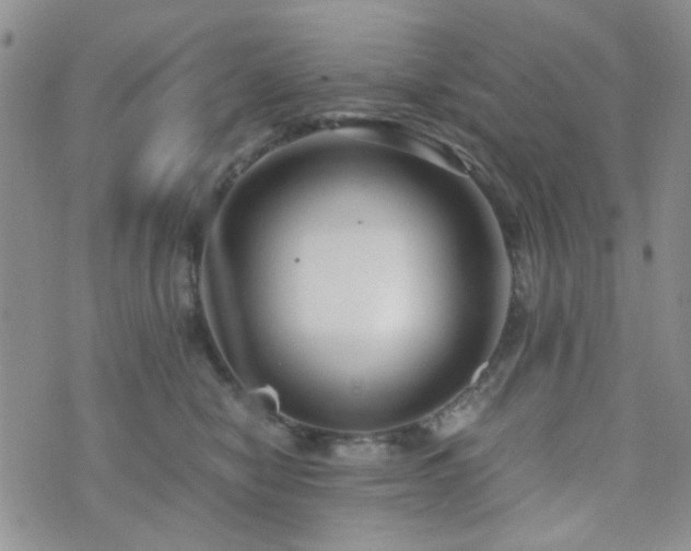 X0000073700470200608031219