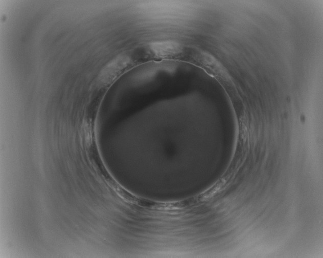 X0000073700471200608031219