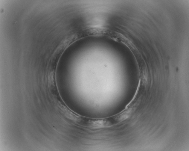 X0000073700473200608031219