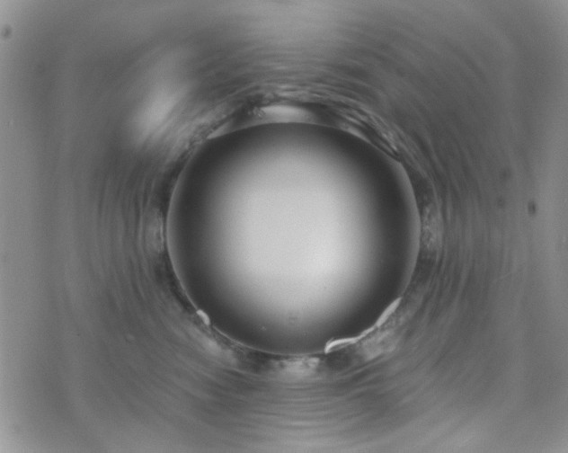 X0000073700474200608031219