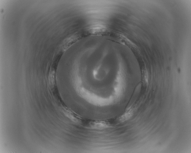 X0000073700475200608031219