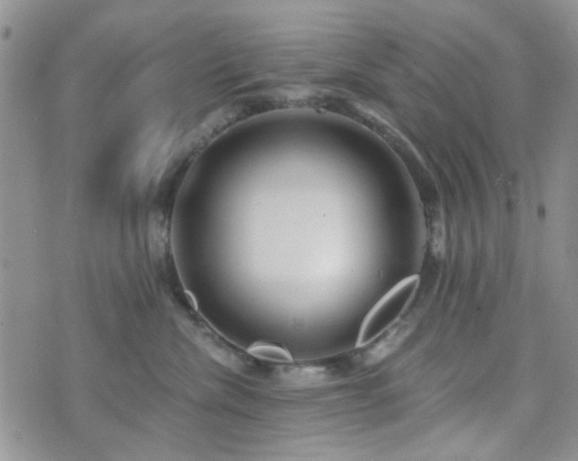 X0000073700476200608031219