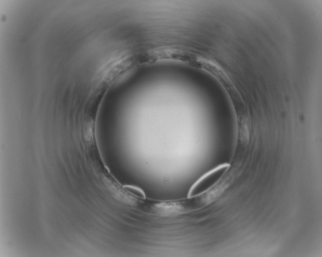 X0000073700477200608031219