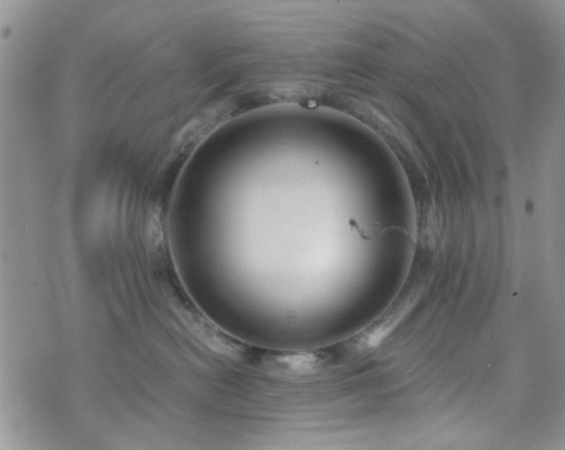 X0000073700478200608031219