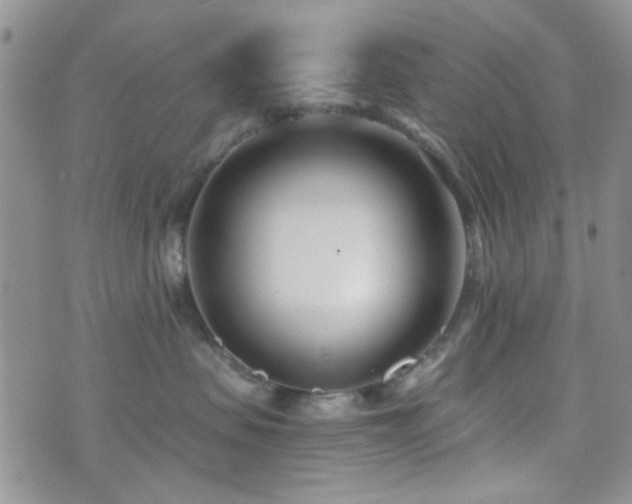 X0000073700479200608031219