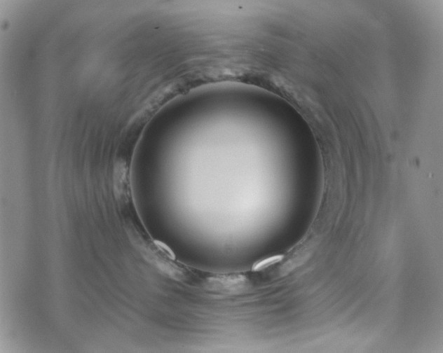 X0000073700480200608031219