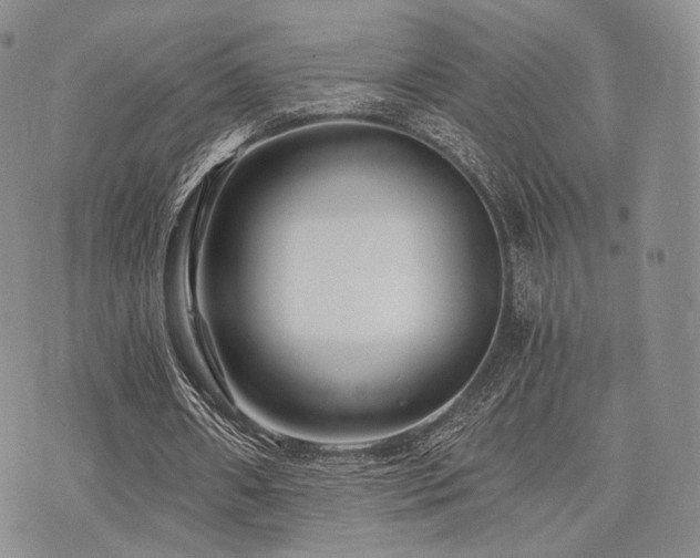 X0000073700482200608031218