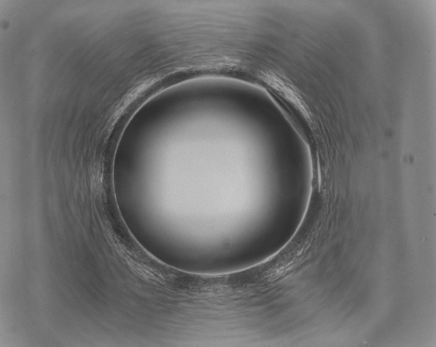 X0000073700483200608031218