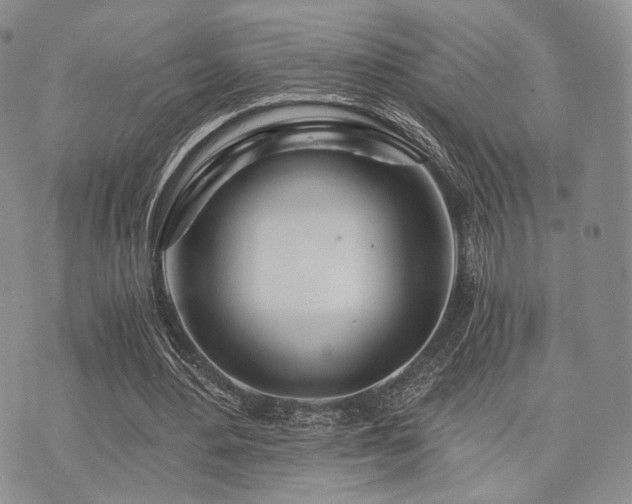 X0000073700484200608031218