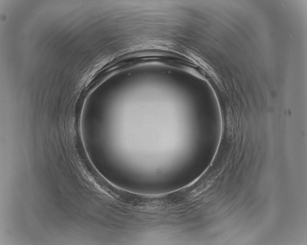 X0000073700485200608031218