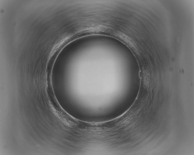 X0000073700486200608031218