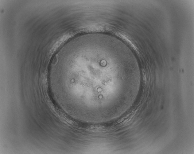 X0000073700487200608031218