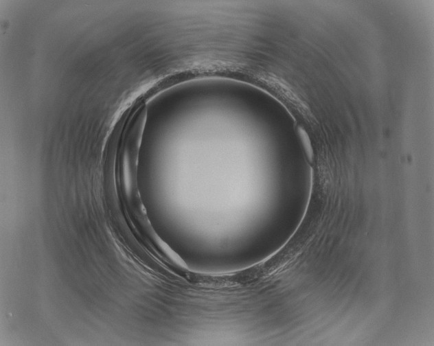 X0000073700488200608031218