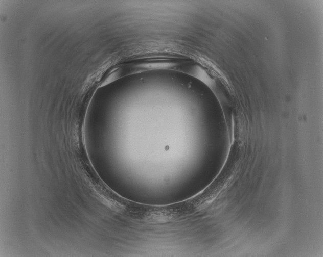 X0000073700489200608031218