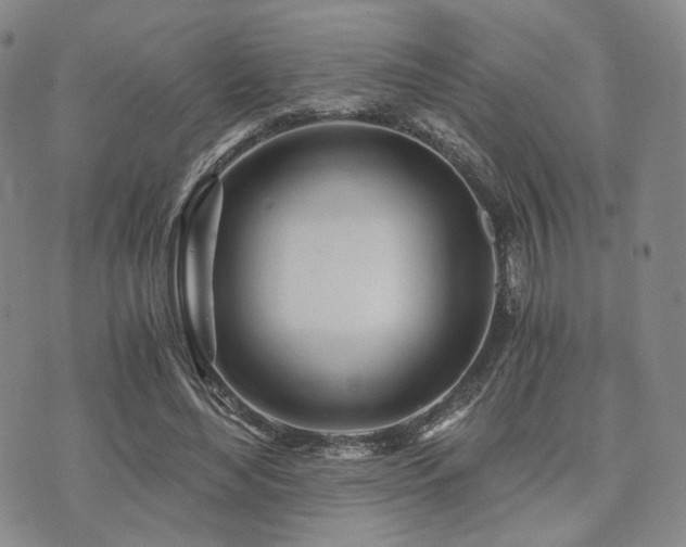 X0000073700492200608031218