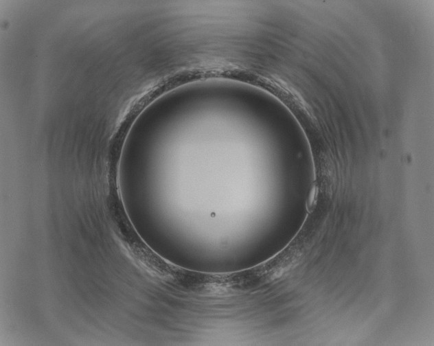 X0000073700496200608031218