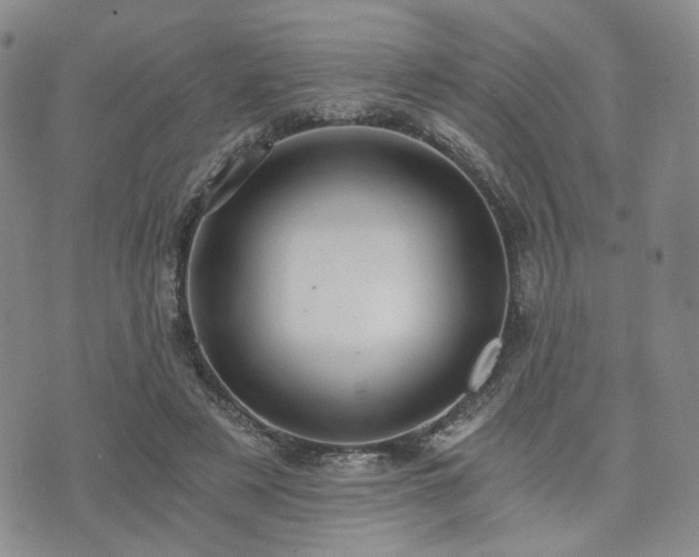 X0000073700497200608031218