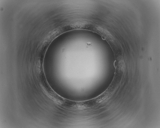 X0000073700498200608031218