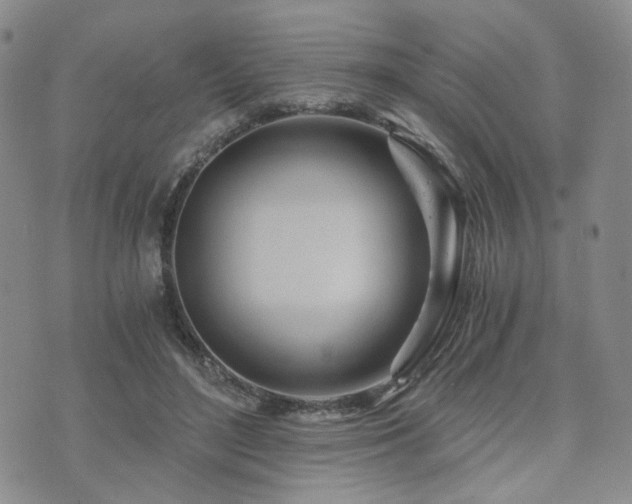 X0000073700500200608031218