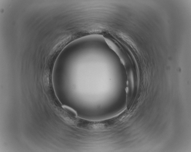 X0000073700501200608031218