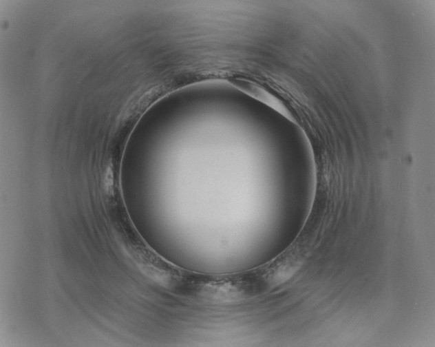 X0000073700502200608031218