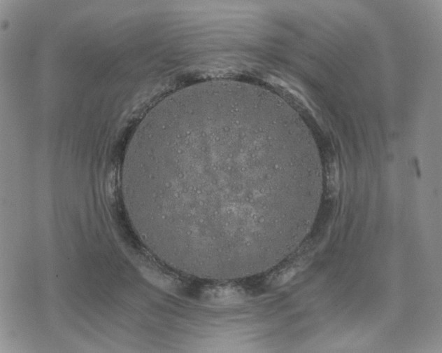 X0000073700503200608031218