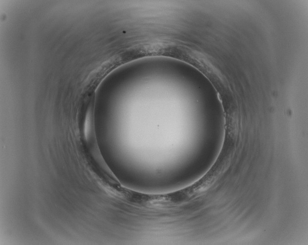 X0000073700505200608031218