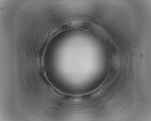 X0000073700506200608031218