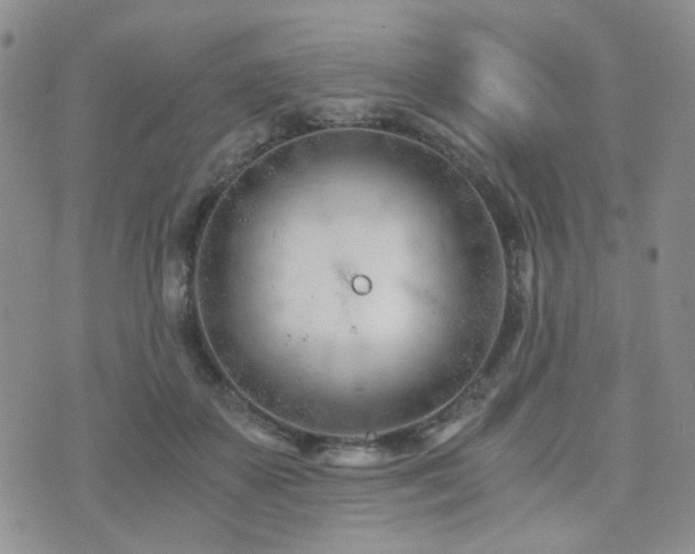 X0000073700507200608031218