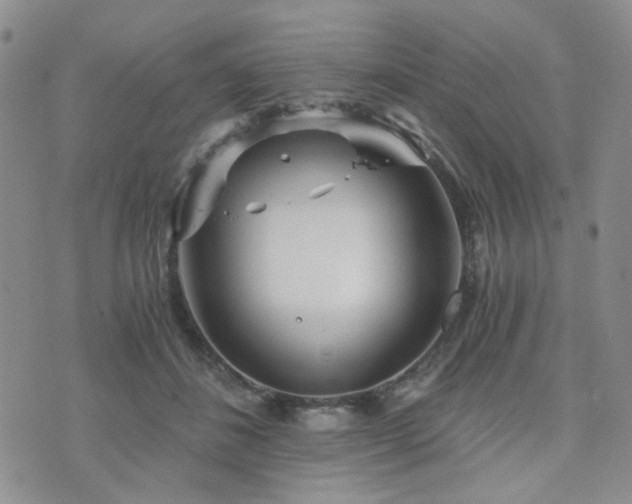 X0000073700508200608031218