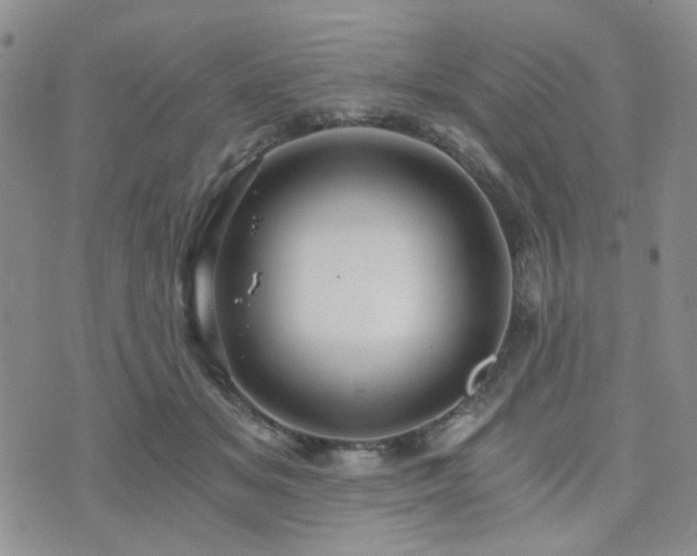 X0000073700509200608031218