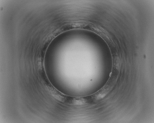 X0000073700510200608031218