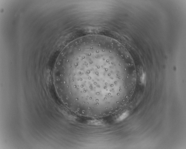 X0000073700511200608031218