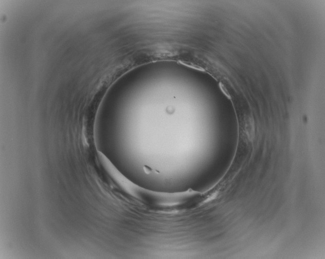 X0000073700512200608031218