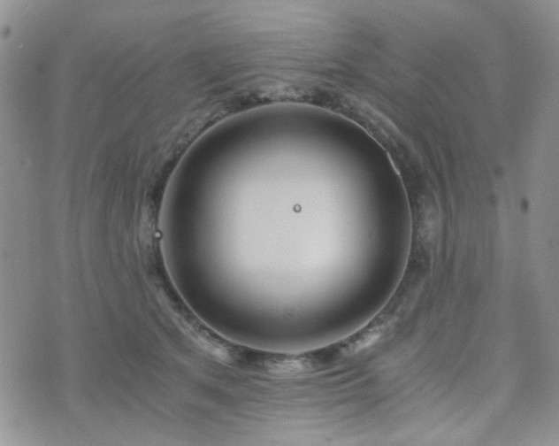 X0000073700513200608031218