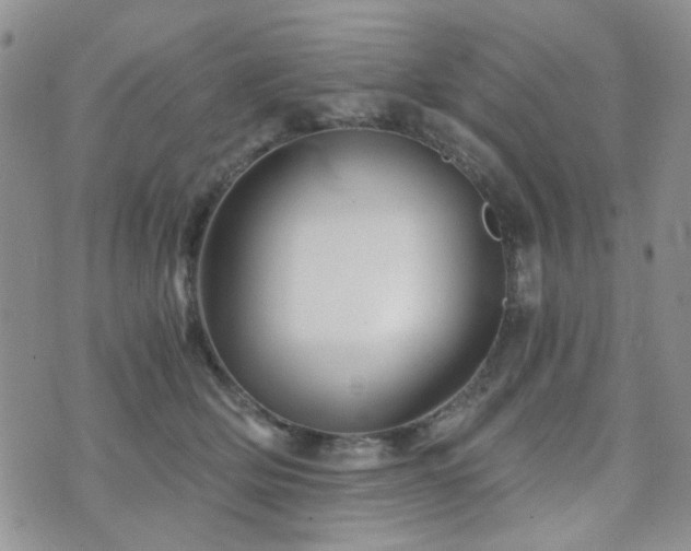 X0000073700514200608031218