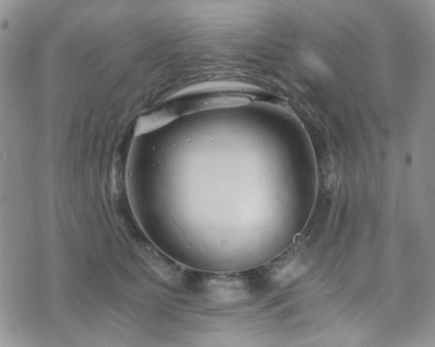 X0000073700515200608031218