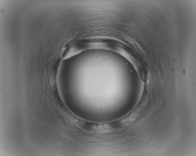 X0000073700517200608031218