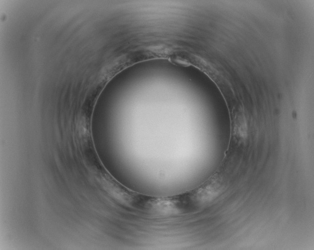 X0000073700518200608031218