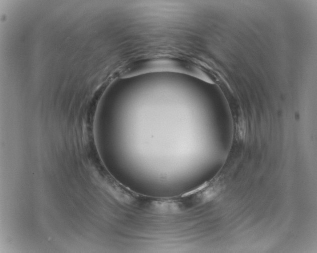 X0000073700520200608031218