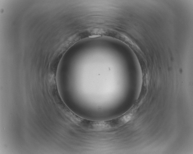 X0000073700521200608031218