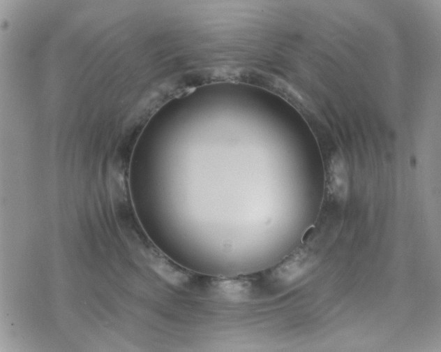 X0000073700522200608031218