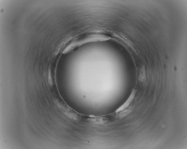 X0000073700524200608031218