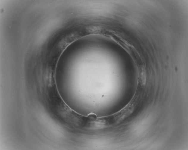 X0000073700525200608031217