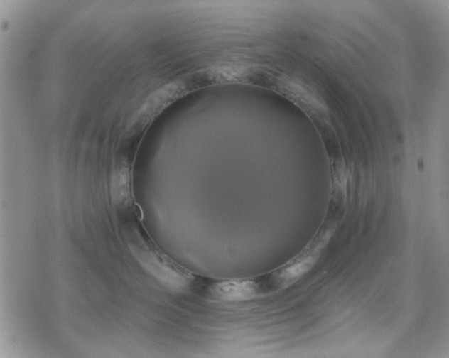 X0000073700526200608031217