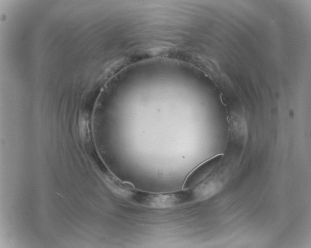 X0000073700527200608031217