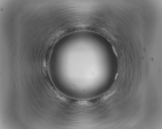 X0000073700528200608031217